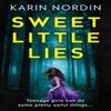 Sweet Little Lies by Karin Nordin Paperback Book 9780008601003