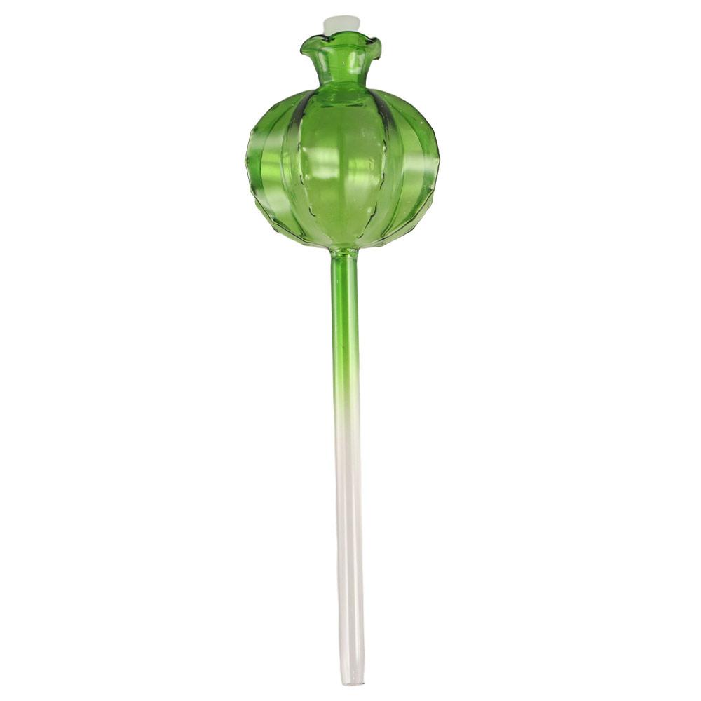 Cactus Automatic Plant Watering Bulbs Glass Plant Water Feeder Glass Bulbs  Indoor