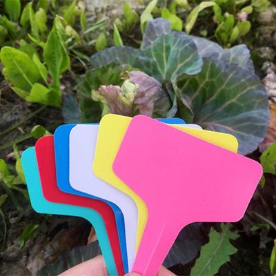 100PCS Writable Plant Gardening Flower Label Plant Label Tree Meaty Label