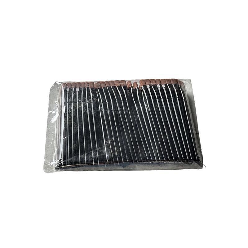 Disposable Nylon Lip Brushes