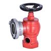 SN50 Cast Iron Indoor Fire Hydrant