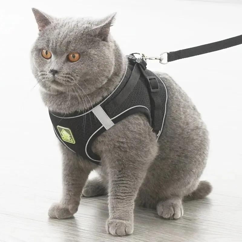Reflective Pet Harness And Leash Set for Dogs And Cats No Pull Vest Harness with Breathable Mesh Comfort for Small Medium Large