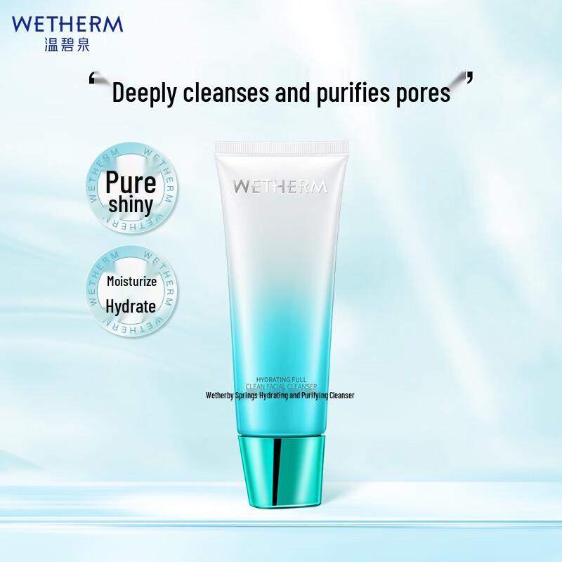 

Wen Biquan Hydrating Purifying Facial Cleanser