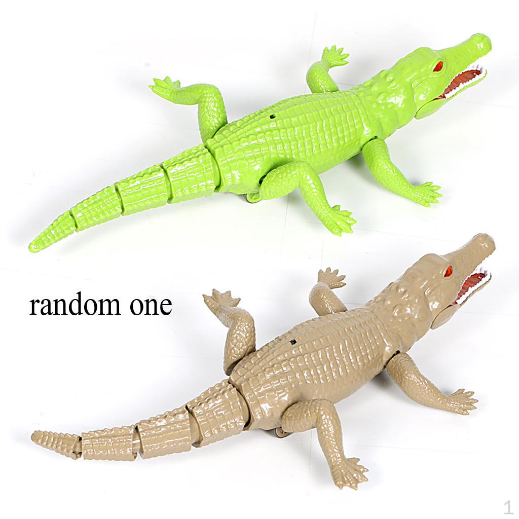 

Remote Control Alligator Animal Toys Partys Favors