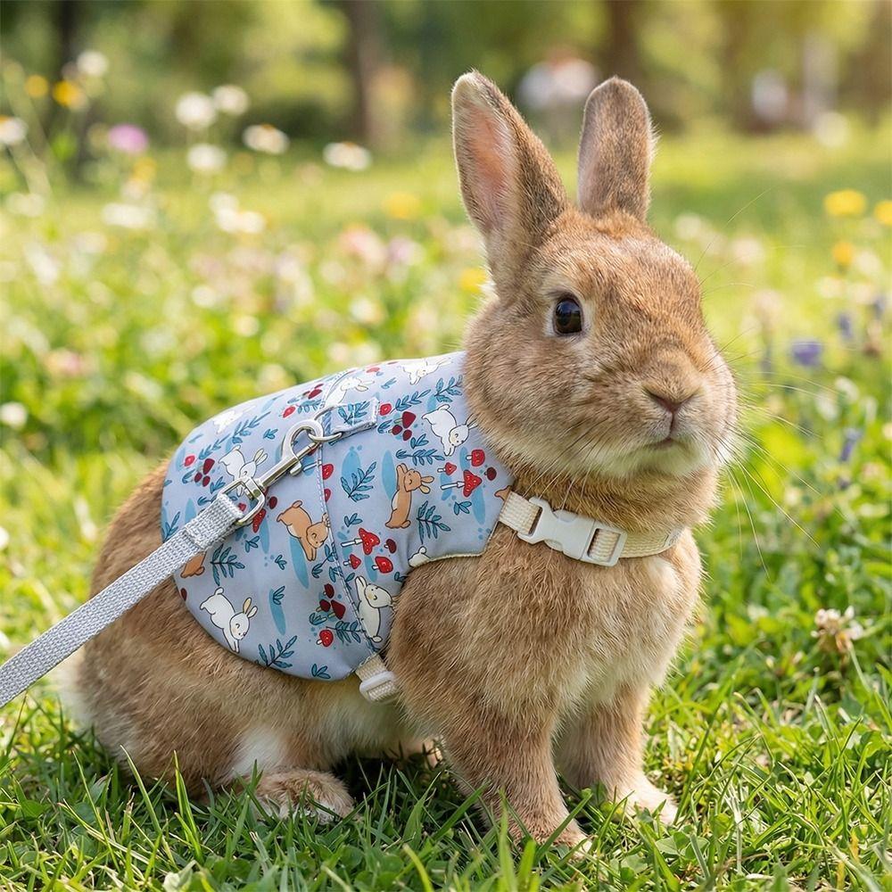 Breathable Guinea Pigs Vest Adjustable Rabbit Leash Set Cute Pet Harness and Leash  Daily Wear