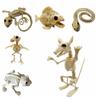 Cat Halloween Animal Skeleton Snake Skeleton Model Creative Halloween Bats Skeleton  Haunted House