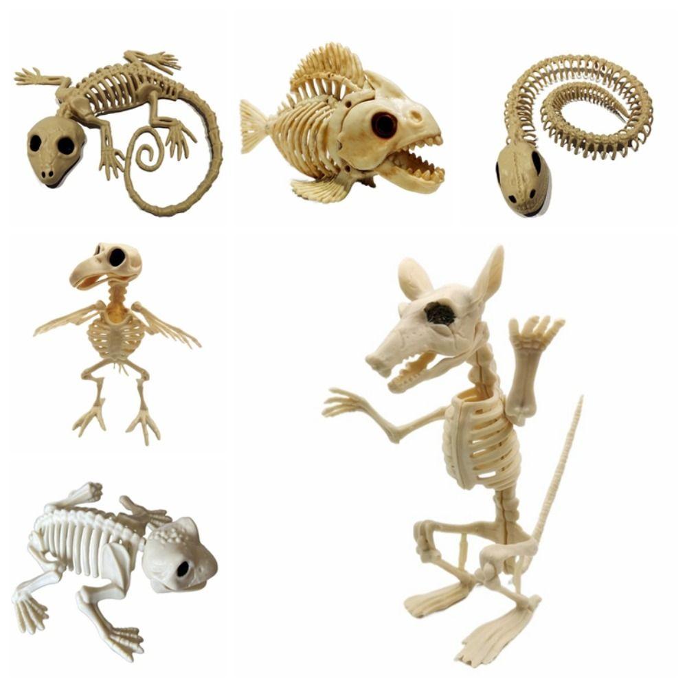 Cat Halloween Animal Skeleton Snake Skeleton Model Creative Halloween Bats Skeleton Haunted House