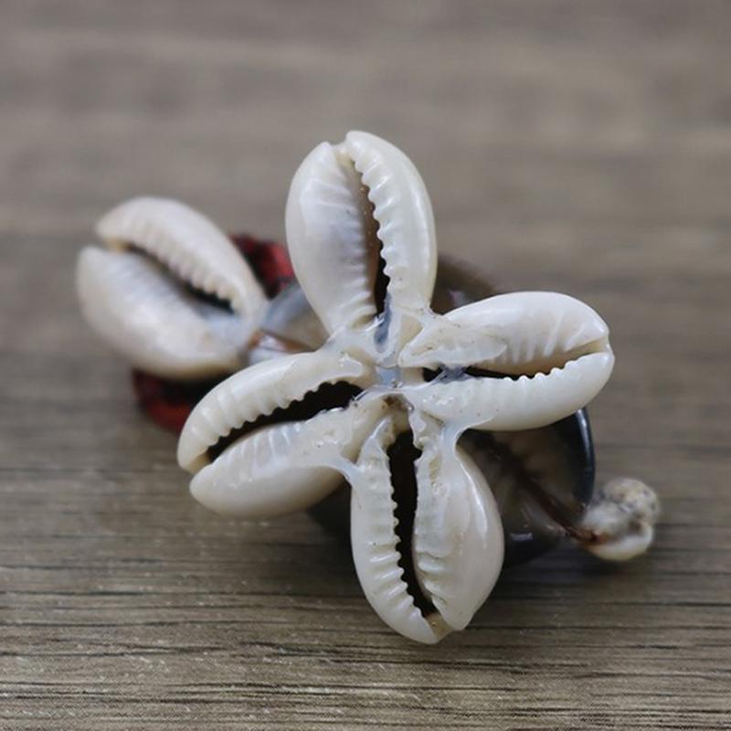 2Pcs Cute Cartoon Little Turtle Sea Shells Art Craft Natural Small Tortoise