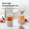 Buydeem Portable Tea Infuser Glass Bottle
