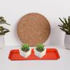10Pcs Reusable Plastic Plant Saucer Rectangular Sturdy PP Material Plant Drainage Tray for Pots Bonsai Window Sill Flower Pot