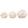 Intentionally Aged Decorative Ecru Cement Rose