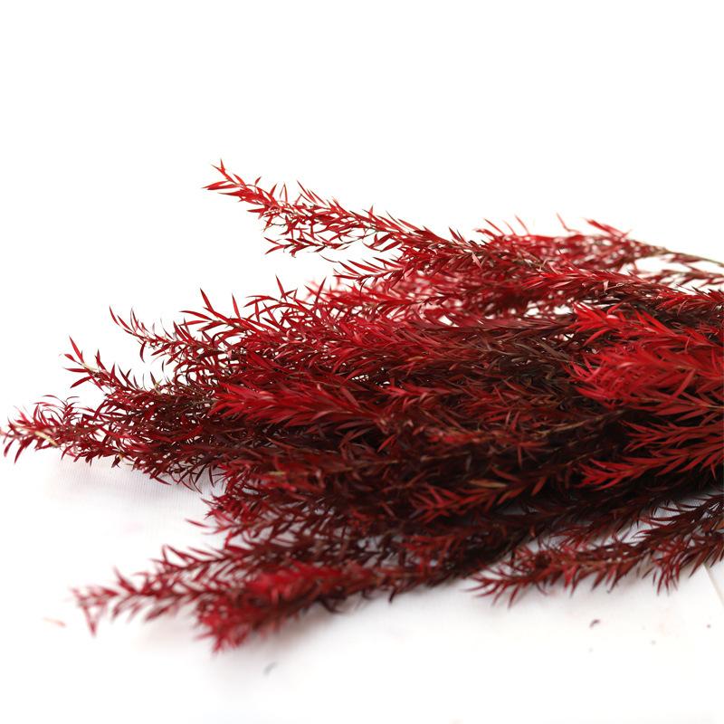 

Mori Bouquet Бессмертный Melaleuca Gold Украшение для дома в скандинавском стиле Обеденный стол Журнальный столик Цветочная композиция Бессмертный Melaleuca Gold