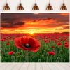 2D HD Red Poppy Flower Field Backdrop, Sunset Sky Floral Photo Background Cloth