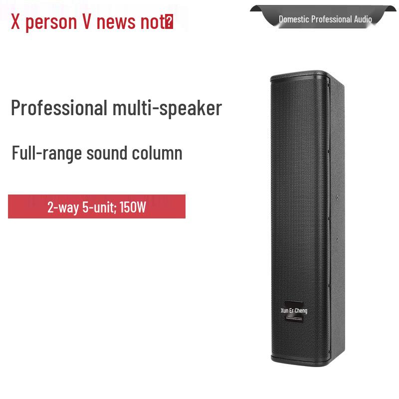 Xun Er Wei Professional Audio-Video Systems (CN Version)