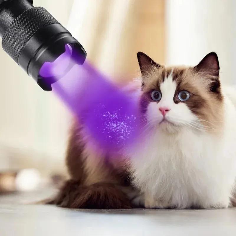 

Mini UV Flashlight 395/365nm LED Ultraviolet Torch Zoomable Ultra Violet Lights Inspection Lamps Pet Urine Stain Detector Light