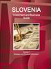 Kniha Slovenia Investment and Business Guide Volume 1 Strategic and Practical Information