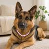 Acrylic Dog Collar Necklace Sparkling Pet Pearl Necklace Elegant Pet Neck Straps  Pet Supplies