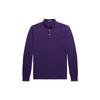 Polo FW23 Solid Color Logo Embroidered Casual Long Sleeve Polo Shirt Men Tops Purple MNPOKNI16823235-500