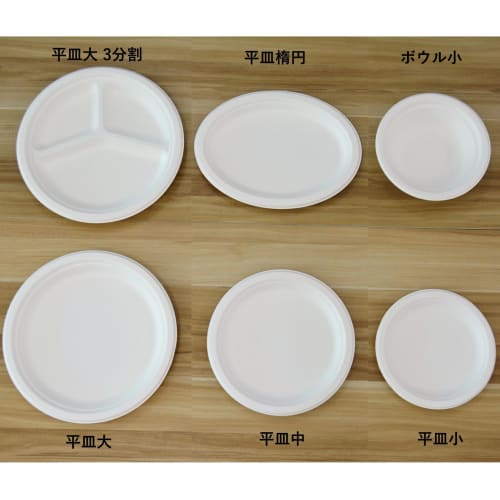 Disposable Disposable Plates, Eco-Friendly and Durable Bagasse Plates, Small, Flat Plates, 50 Count, Perfect for BBQs, Parties, and Other Uses, Usuall