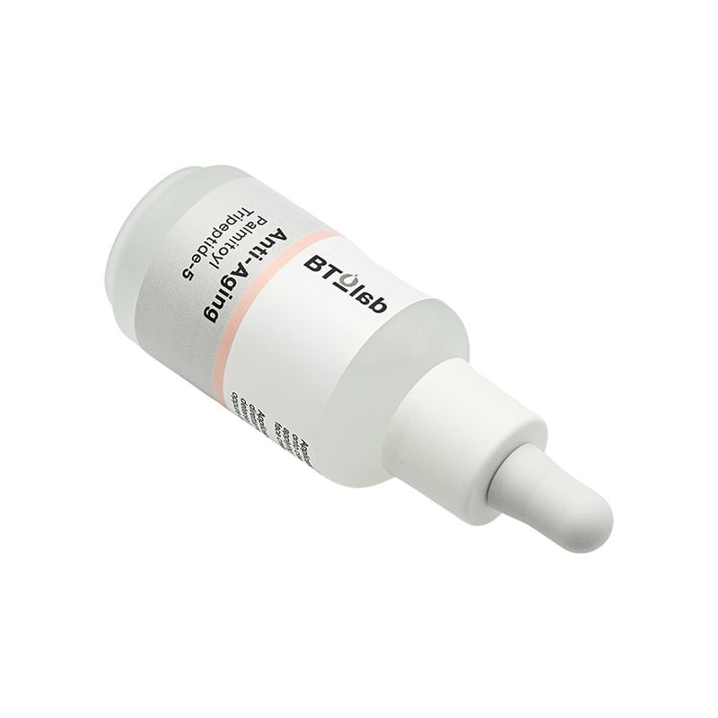 BT-lab - Anti-aging Palmitoyl Tripeptide-5 Serum