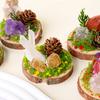 Accesorii pentru decor – Obiecte de decor din piatră