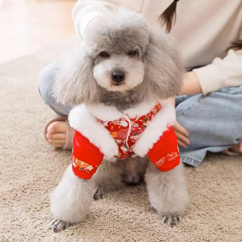 Dog Hundred Flowers Golden Silk Two-legged Cotton-padded Clothes Medium and Small Dog Teddy Chinese New Year Festive Autumn and Winter Pet Dog Clothes