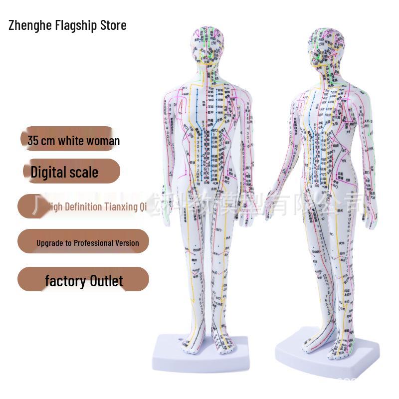 35cm Meridian Acupoint Model: Mini Traditional Chinese Medicine Acupuncture Figure
