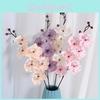 Multicolour Simulation Phalaenopsis Flower Bouquet For Home And Decor Event