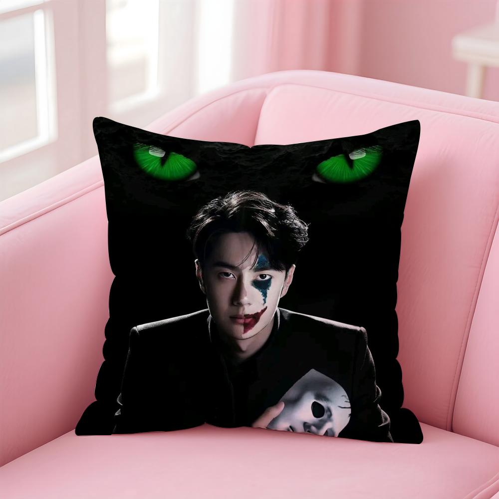 WWang Yibo Cushion Cover Soft Plush Throw Pillow Cushion CoverDoubleSided Printed Pillow Case for Sofa Home Decor