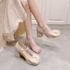 Beautiful Temperament with Skirt Bridesmaids Single Shoes Women 2025 Spring and Summer New Fairy Gentle Mary Jane High Heels Women