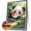 Panda Full DIY 5D Round Drill Gem Art Diamond Painting Kits for Adults/Beginners Gift Idea Home Decor Diamond Painting Gem Art