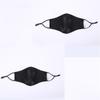 2pcs Double Layer Mask Ice Silk For Adult Four Seasons Sunscreen Breathable Mask
