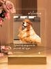 Custom Night Light Pet Memorial Plaque For Dog Cat Personalized Pet Growth Ornament Engrave Pet Info Record Lovely Daily Moment