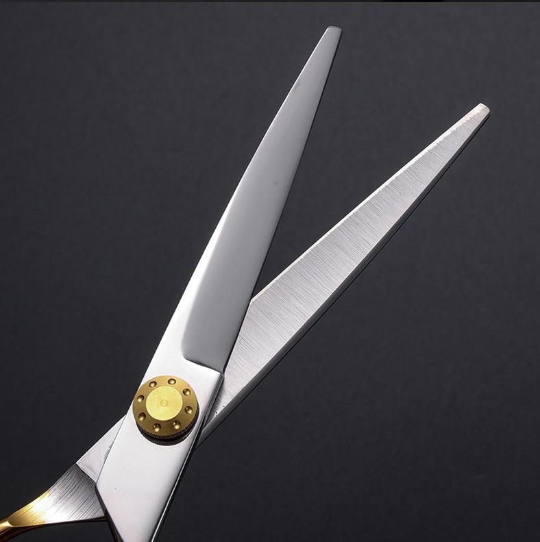 6-Inch Professional Hairdressing Scissors & Thinning Shears Set