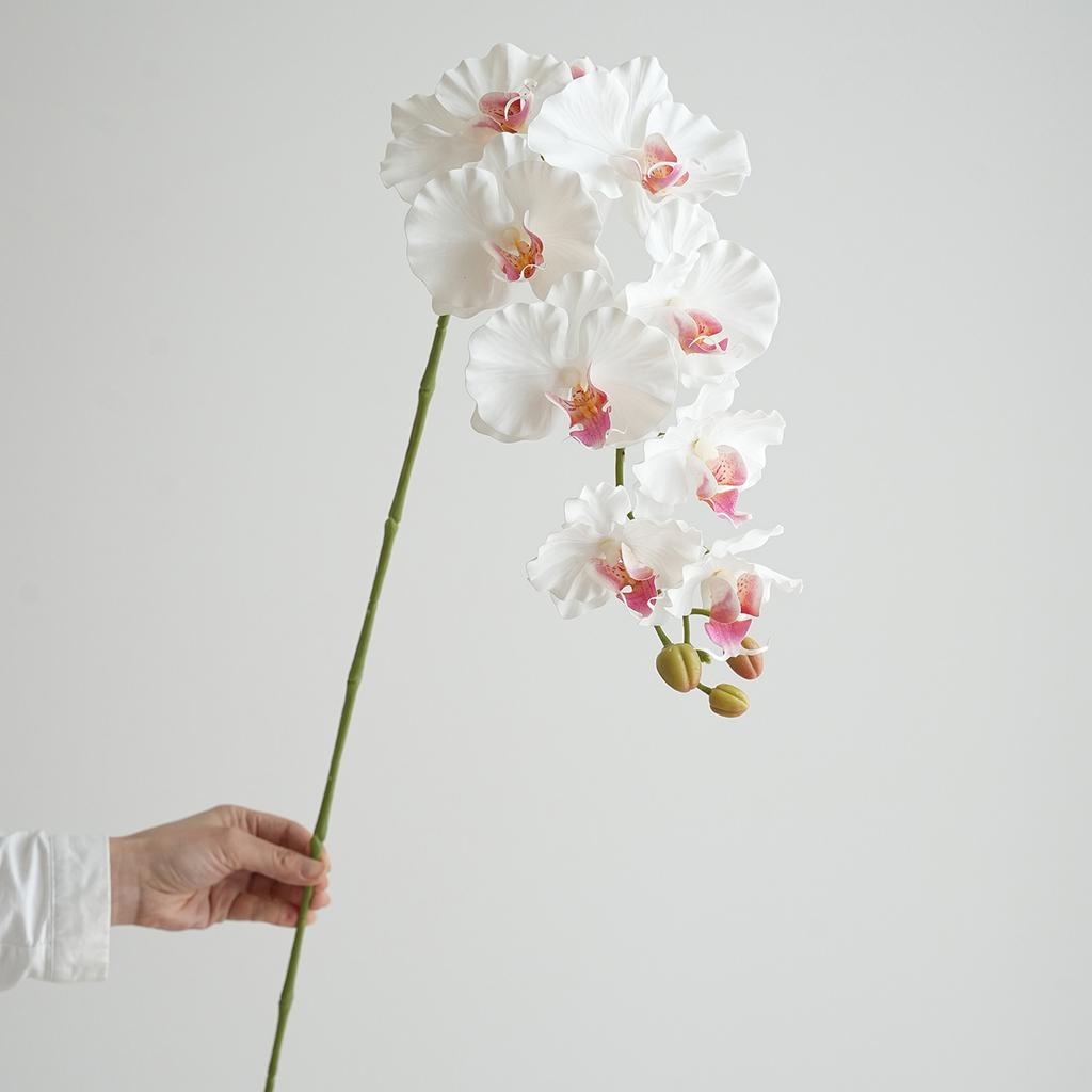 Künstliche Phalaenopsis Orchideenblüten Hochzeit Dekorative Phalaenopsis Realistische Orchidee Lange Stiele 9 Köpfe Heim Indoor Deko