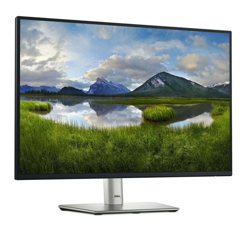 Dell P2425 24.1" HD WUXGA 100 Hz Monitor