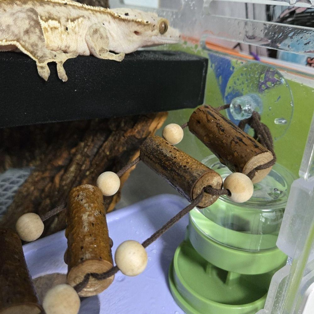 Anti-slip Base Reptiles Water Feeder Detachable Turtle Water Bowl Reptile Water Dispenser  Snakes