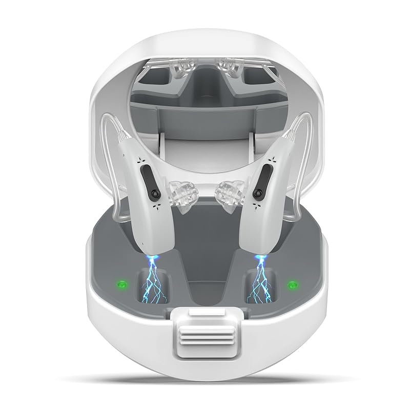 Перезаряжаемые слуховые аппараты для пожилых людей с шумоподавлением, Заушные слуховые аппараты для людей с легкой, умеренной и тяжелой потерей слуха, Двойной микрофон, серый
