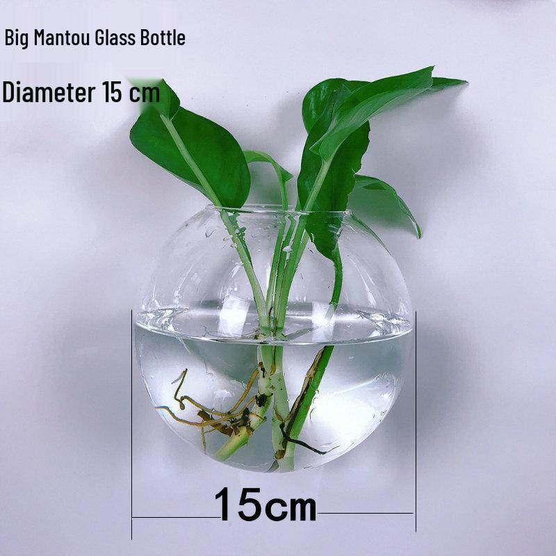 Creative Wall-Mounted Transparent Glass Vase for Plants and Fish