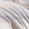 Dairuolun Cloud Velvet Winter Quilt