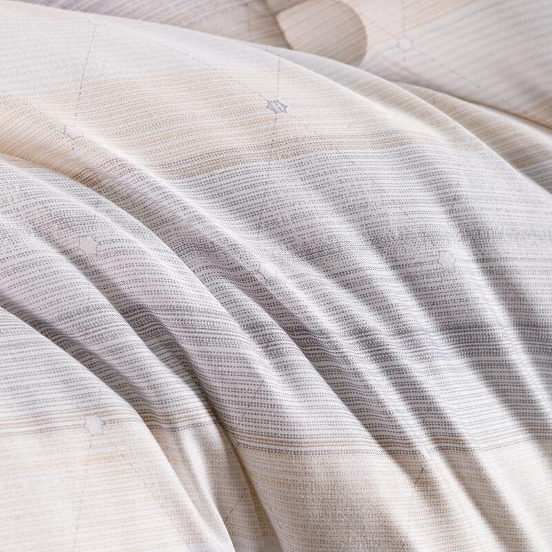 Dairuolun Cloud Velvet Winter Quilt