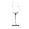 Tulp Champagneglas