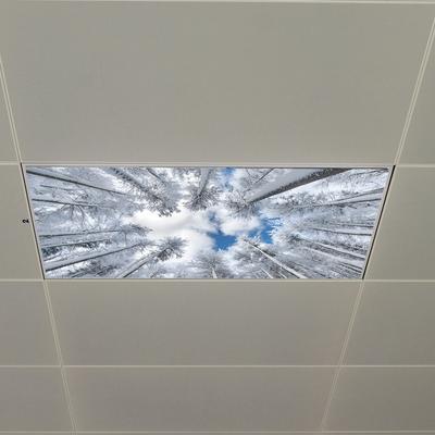 Inverno Neve Floresta Céu Azul Nuvens Brancas Teto Sala de Estar Quarto Embelezamento Adesivos de Parede