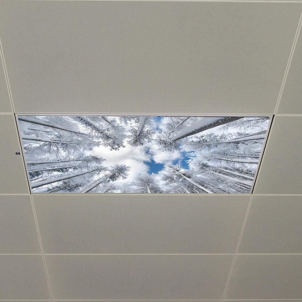 Winter Snow Forest Blue Sky White Clouds Ceiling Living Room Bedroom Beautification Wall Stickers