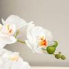 42cm Orchidee Finte Real Touch Fiori Finta Seta Artificiale Fiore di Phalaenopsis Con 5 Fiori Fioriti Per Casa Interno Decorazione Tavolo