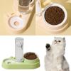 Pet Food Feeders and Waterer Detachable Cats Water Fountain Bowl Food Container Automatic Bowl Supply