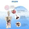 HYEANHLPYE Human Anatomy Model Toy, Human Model Toy, Mannequin, Transparent Half Body with Detachable Organs and Skeleton, Disassembly Puzzle Set, 3D