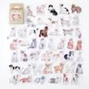 45 Transparent Cartoon  Specimen Stickers Pack - Transparent PET Stickers