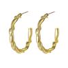 Chinese Style Exaggerated Snake Body Wrapped Earrings Trendy Metal Hip Hop Earrings