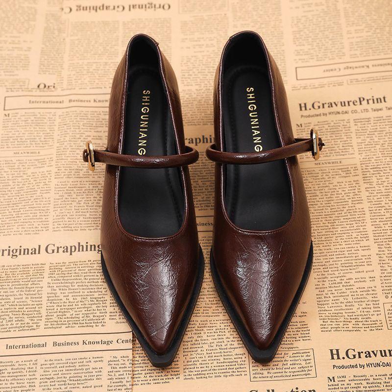 Fashion 2025 Spring Autumn Vintage Pointed Toe Women Mary Jane Shoes Fashion Shallow Buckle Shoes Ladies Elegant Dress Thick Heel Shoes